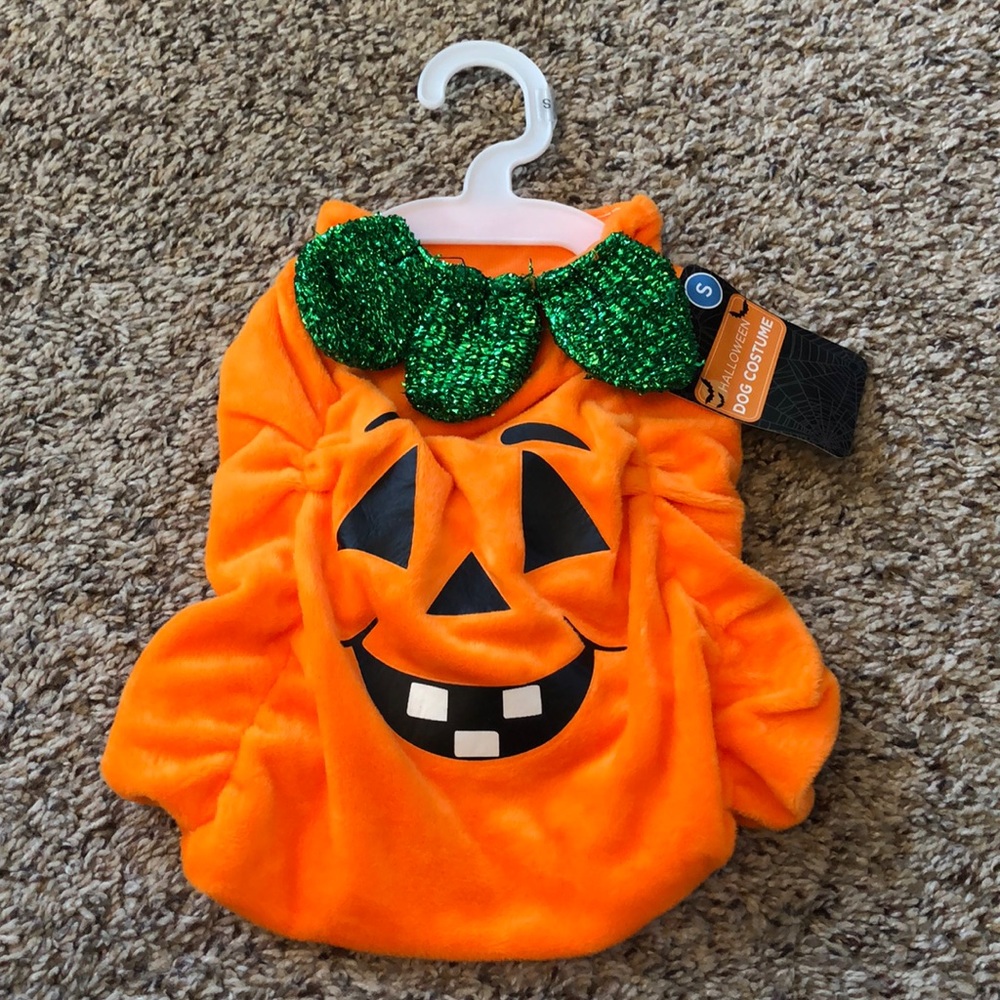 NWT Pumpkin Halloween Costume for Pet